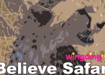 Believe Safari