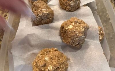 Protein Balls Quick and Easy Thanks To Kodiak